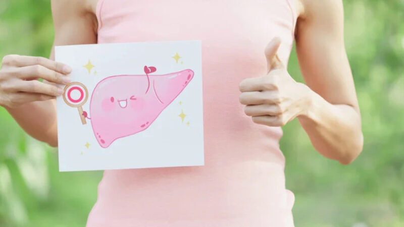 ダイエットと肝臓