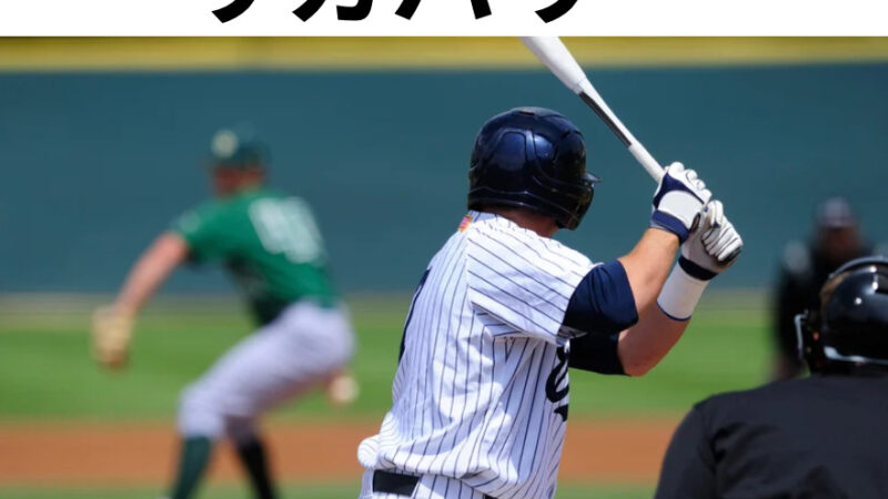 体の炎症に対するリカバリー