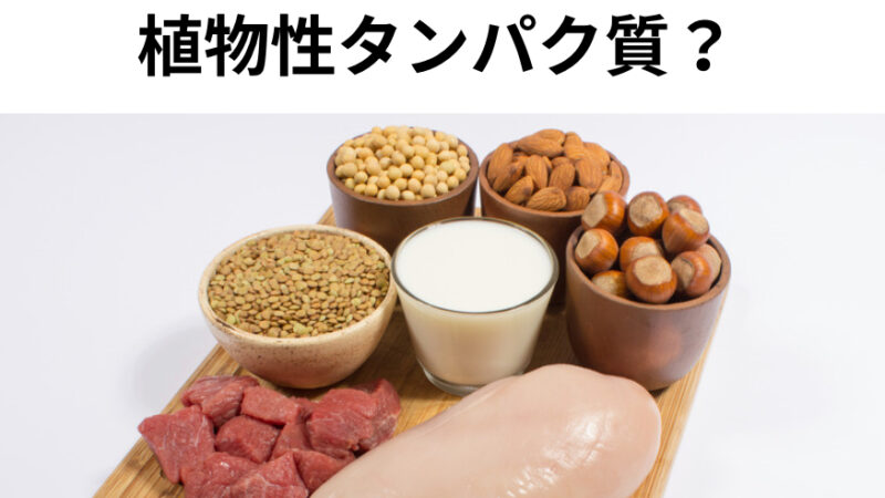 疲労回復にはタンパク質の動物性？植物性？