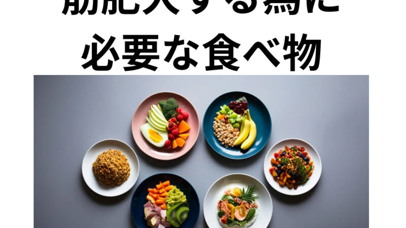筋肥大をする為の食事