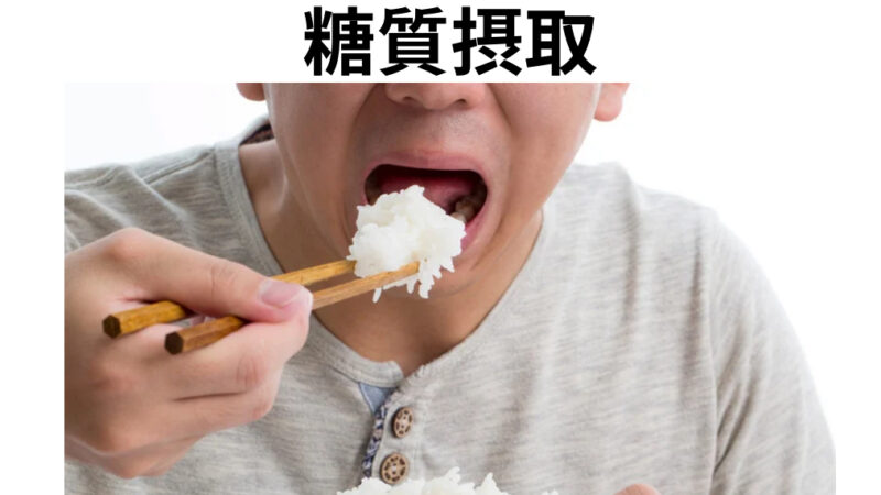 高校野球の冬トレ時の糖質摂取量