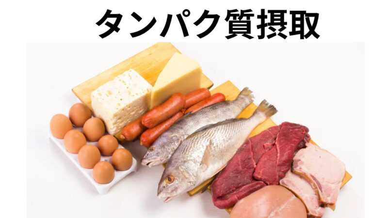 高校野球の冬トレに時のタンパク質の摂取量