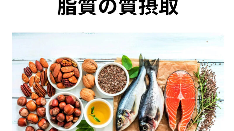高校野球の冬トレ時の脂質の摂取量