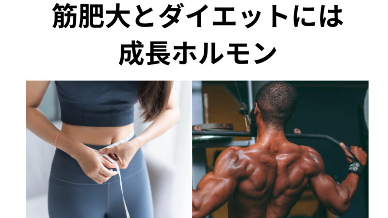 筋肥大、ダイエットには成長ホルモン