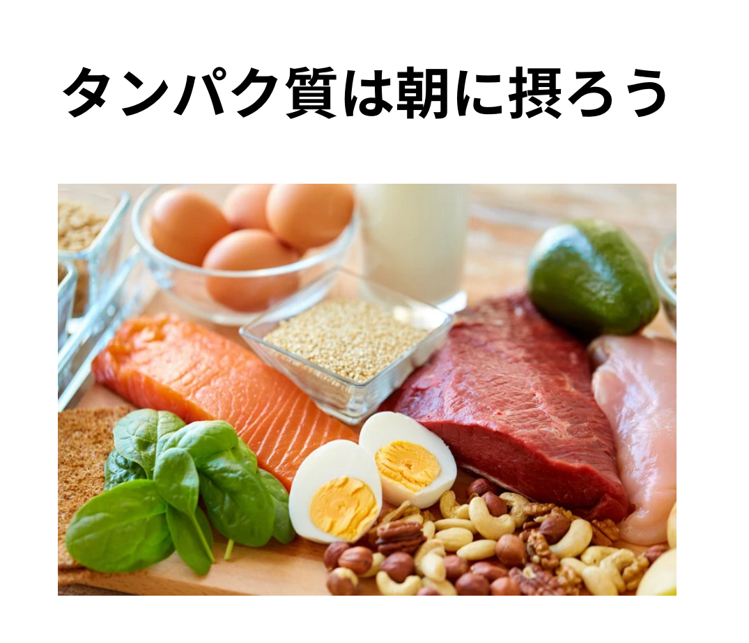 朝にタンパク質をしっかり摂ると、筋肉がつきやすい理由